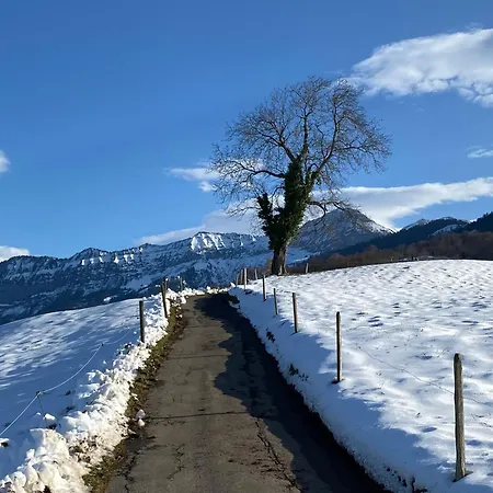 Herrlicher Blick Auf Berge Und *