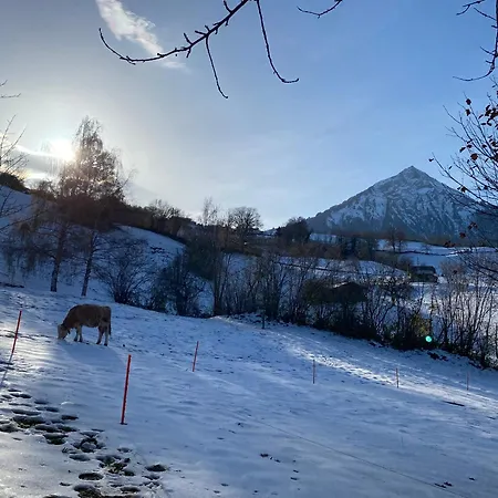 Herrlicher Blick Auf Berge Und Faulensee