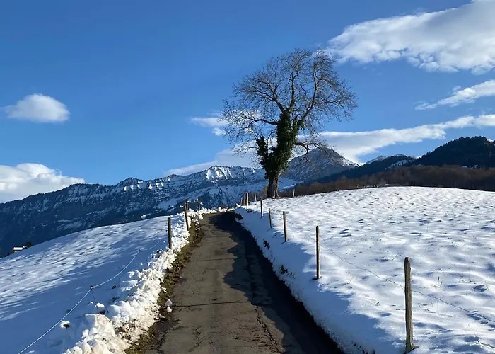 Herrlicher Blick Auf Berge Und *