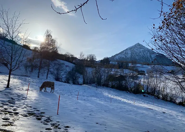 Herrlicher Blick Auf Berge Und 法伦湖