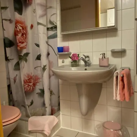 Herrlicher Blick Auf Berge Und アパート