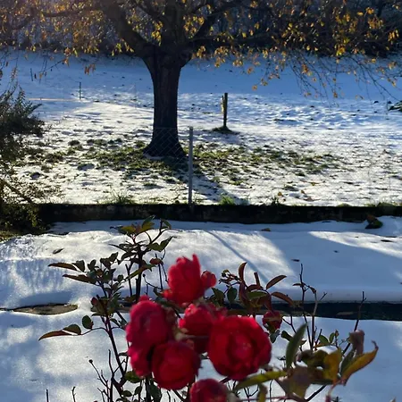 Herrlicher Blick Auf Berge Und Faulensee